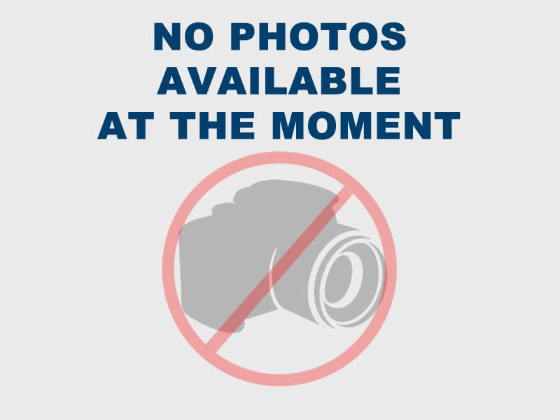 Ford 1.0T EcoBoost Zetec Edition Hatchback 5dr Petrol Manual Euro 6 (s/s) (125 ps) (M13102)