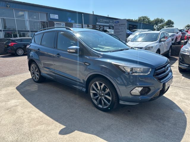 Ford 2.0 TDCi EcoBlue ST-Line SUV 5dr Diesel Manual AWD Euro 6 (s/s) (180 ps) (M13108)